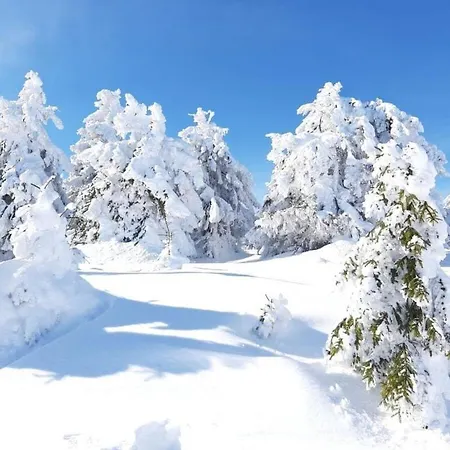 Fingerhut Modern Retreat